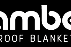 Mambe Logo Test 2