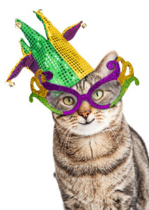 Funny photo of a happy cat wearing Mardi Gras mask and jester hat