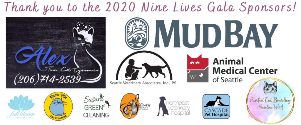 Featured image of post Gala Cleaning Logo - Choose from 100+ cleaning logo graphic resources and download in the form of png, eps, ai or psd.