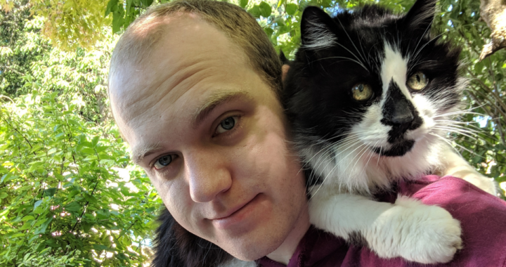 Balck and white cat sits on shoulder