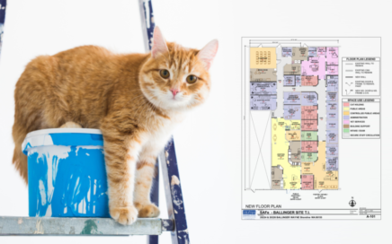 Orange cat stands on a ladder next to a construction floorplan