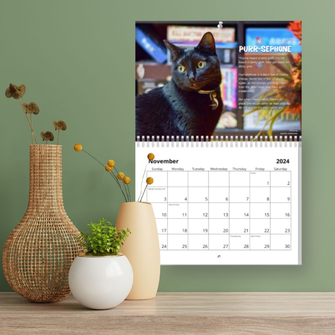 our-2024-cats-at-home-calendars-are-ready-to-order-seattle-area